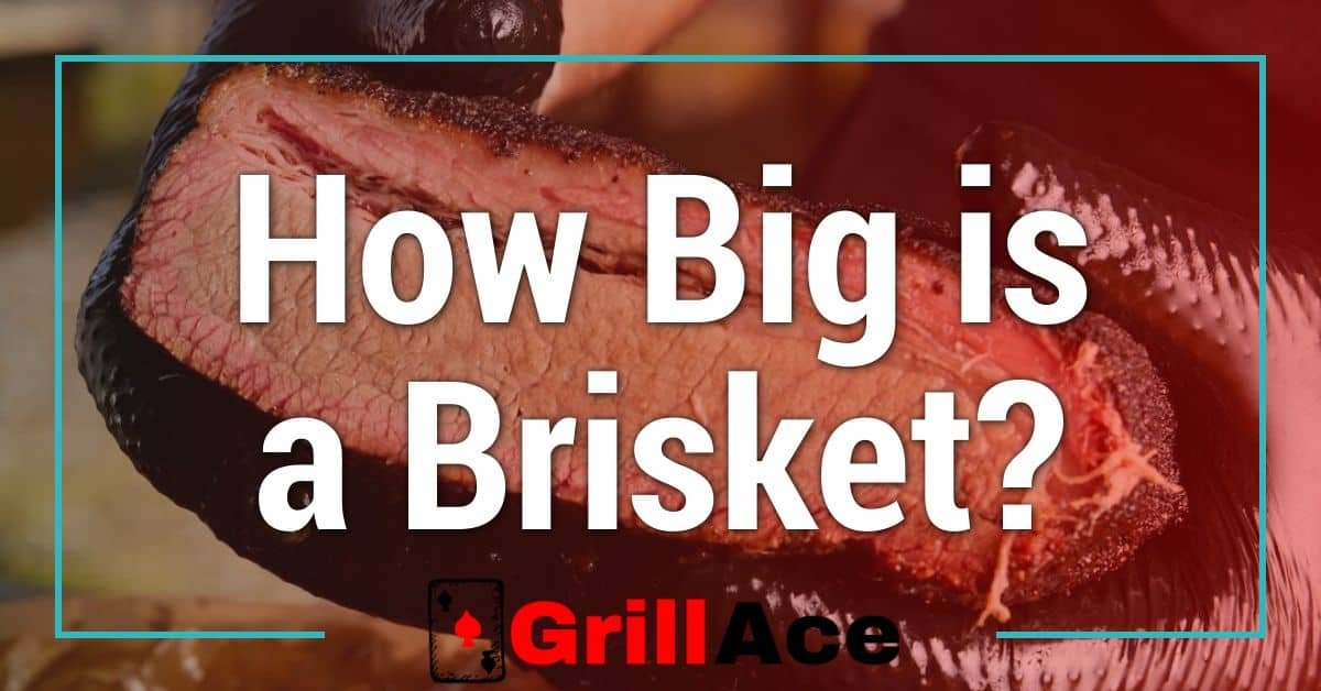 Everything You Need to Know About Brisket Sizes: A Guide for Beginner Grillers