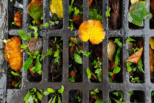 remove rust cast iron grates