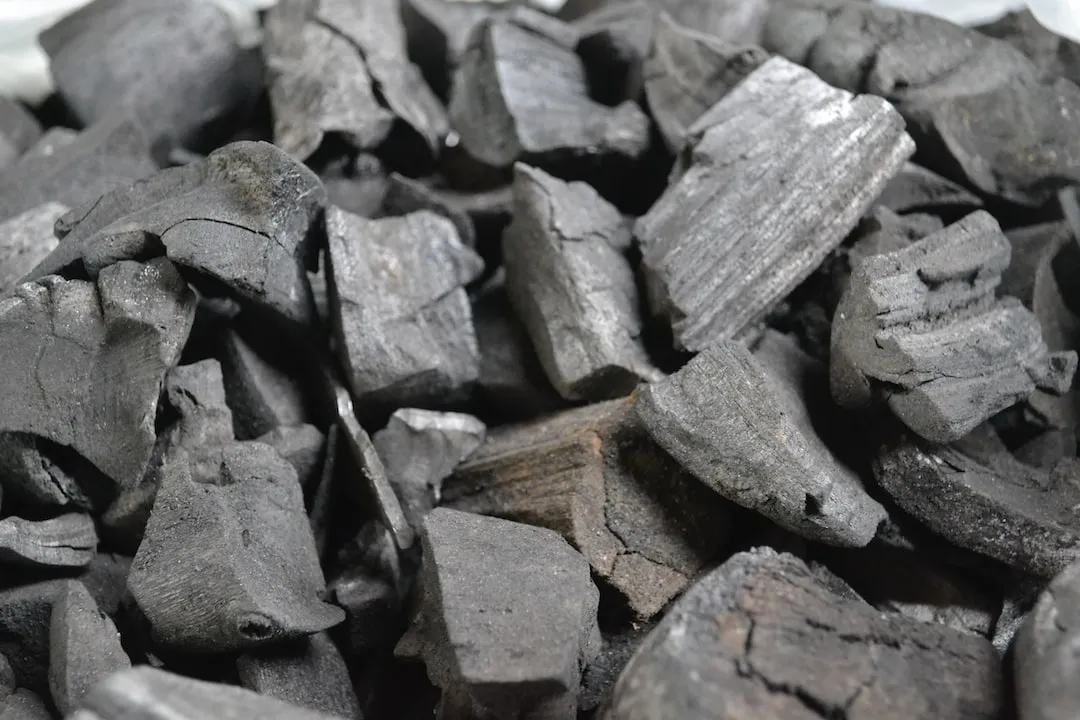 Wood vs. Charcoal: Why Grilling with Wood is the Better Choice