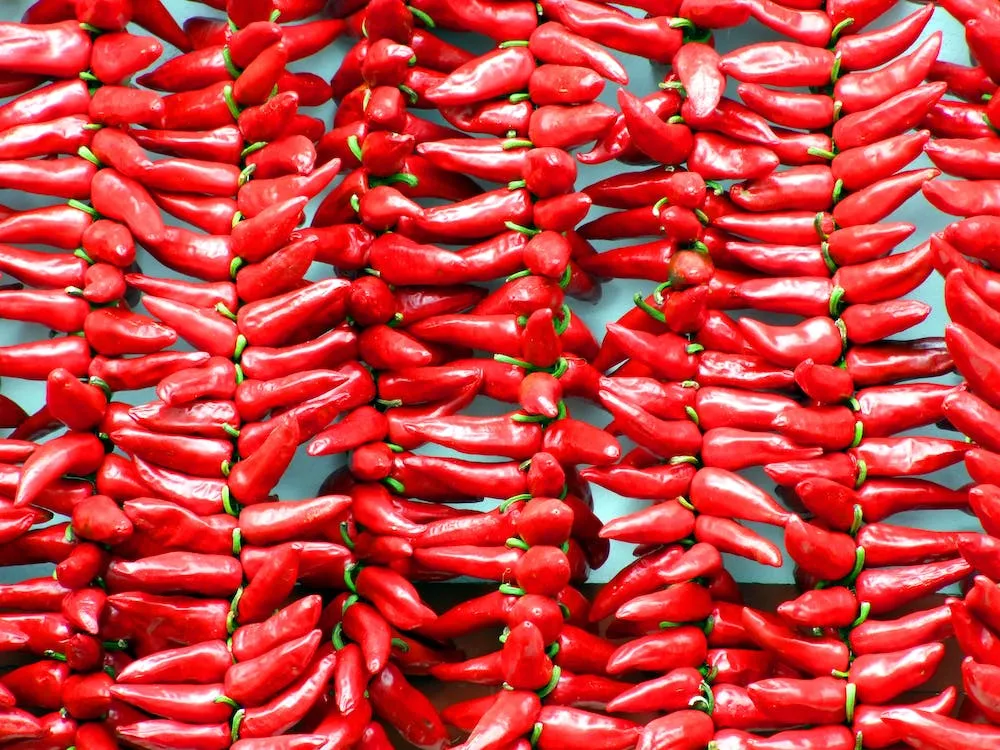 Different Types of Chili Peppers: Shapes, Sizes, Heat Levels, and Flavors