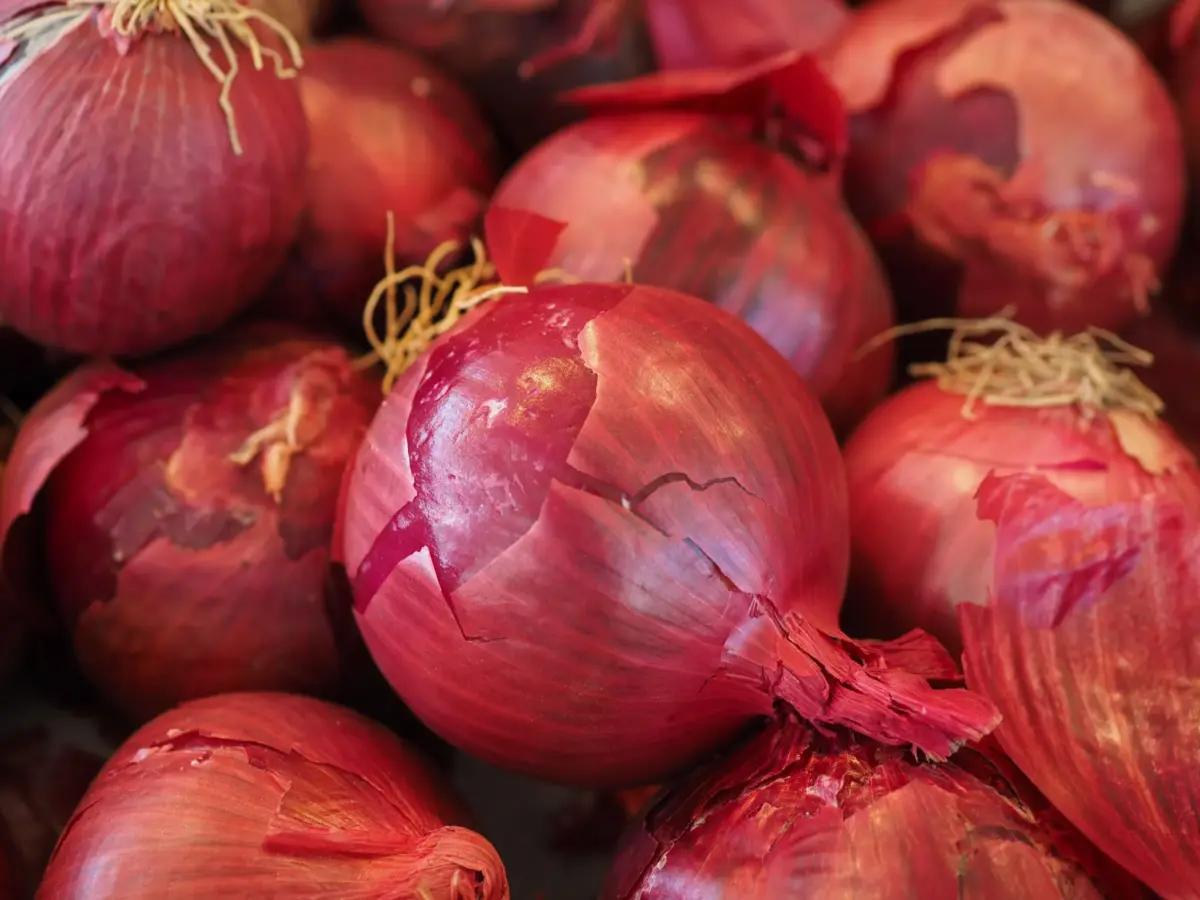 Discover the Top Onion Varieties for Perfect Grilling: Including Sweet Vidalia, Walla Walla, Bermuda, Red, White, and Now Maui Onions